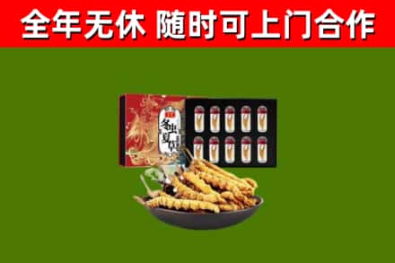 南充烟酒回收冬虫夏草礼盒.jpg